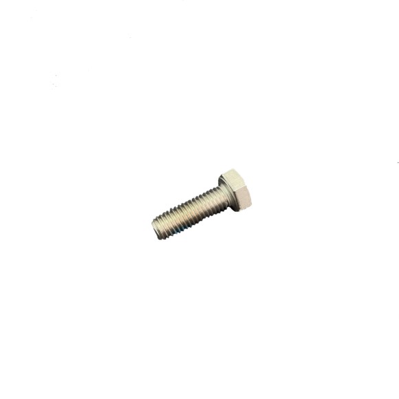 Tennant Screw, Set, Hex M8 X 1.25 X 25, SS, NL