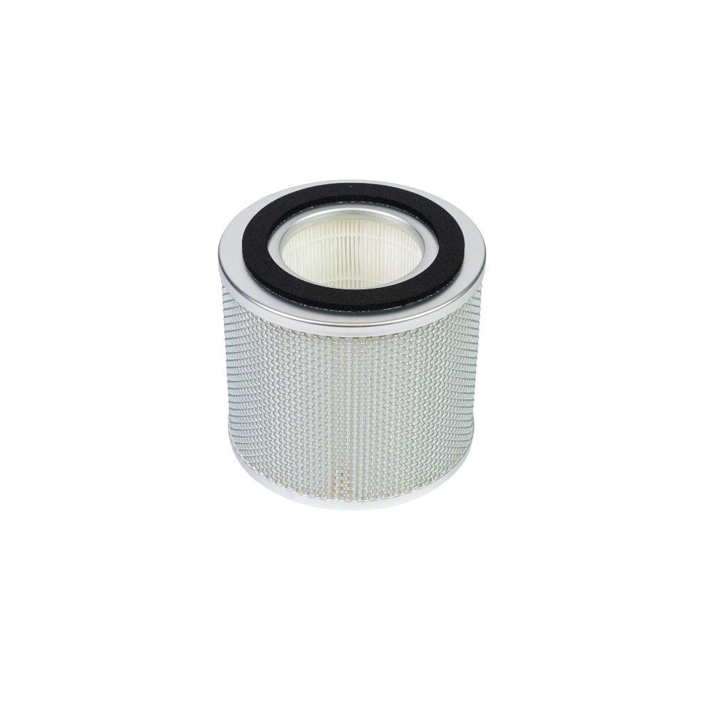 HEPA 14 Absolute Filter